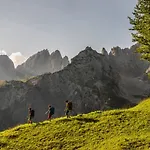 Mountain Fresh - Alpine Easy
