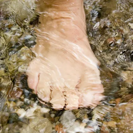 Mountain Fresh - Alpine Easy בית הארחה