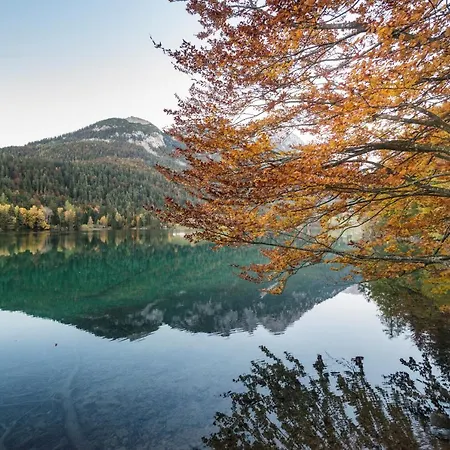 בית הארחה Mountain Fresh - Alpine Easy