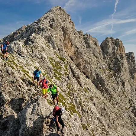 Mountain Fresh - Alpine Easy