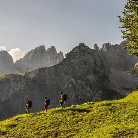 Mountain Fresh - Alpine Easy