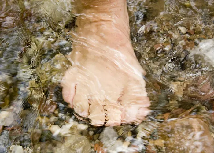 Mountain Fresh - Alpine Easy Гостевой дом