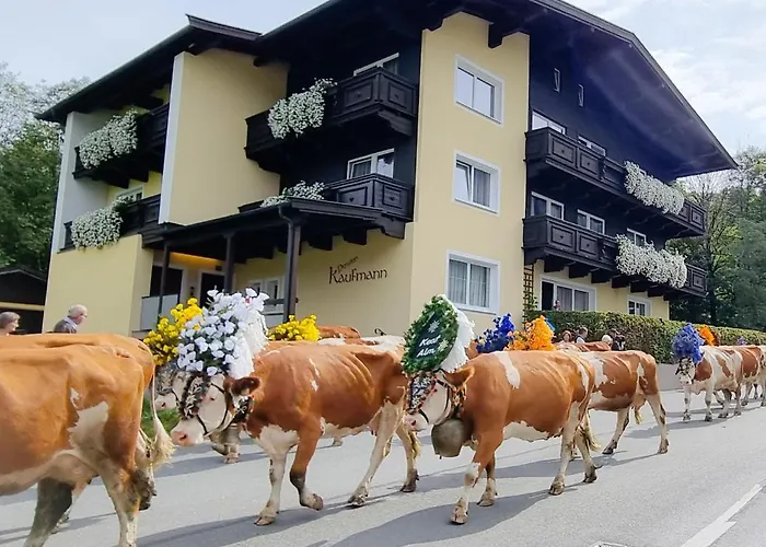 Гостевой дом Mountain Fresh - Alpine Easy 3*