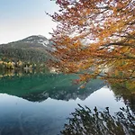 بيت ضيافة Mountain Fresh - Alpine Easy