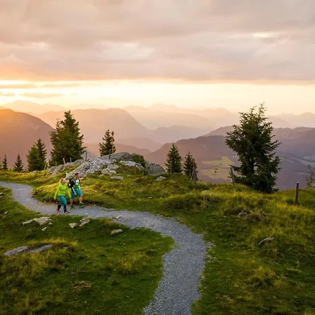 Mountain Fresh - Alpine Easy ゼル