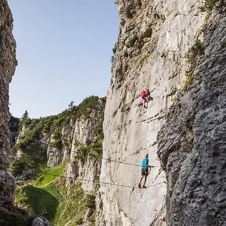 Pensión Mountain Fresh - Alpine Easy Söll